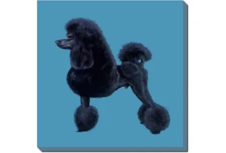 24X24 Black Poodle With Gallery Wrap - Main