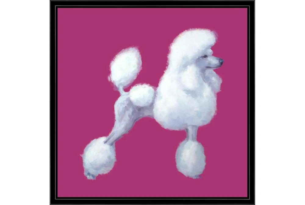 26X26 White Poodle With Black Frame