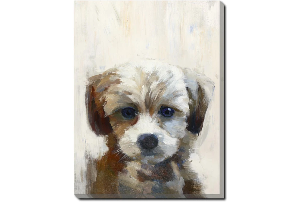 12X16 Rescue Pup With Gallery Wrap
