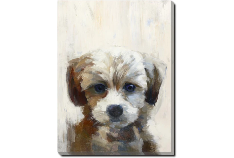 12X16 Rescue Pup With Gallery Wrap - 360