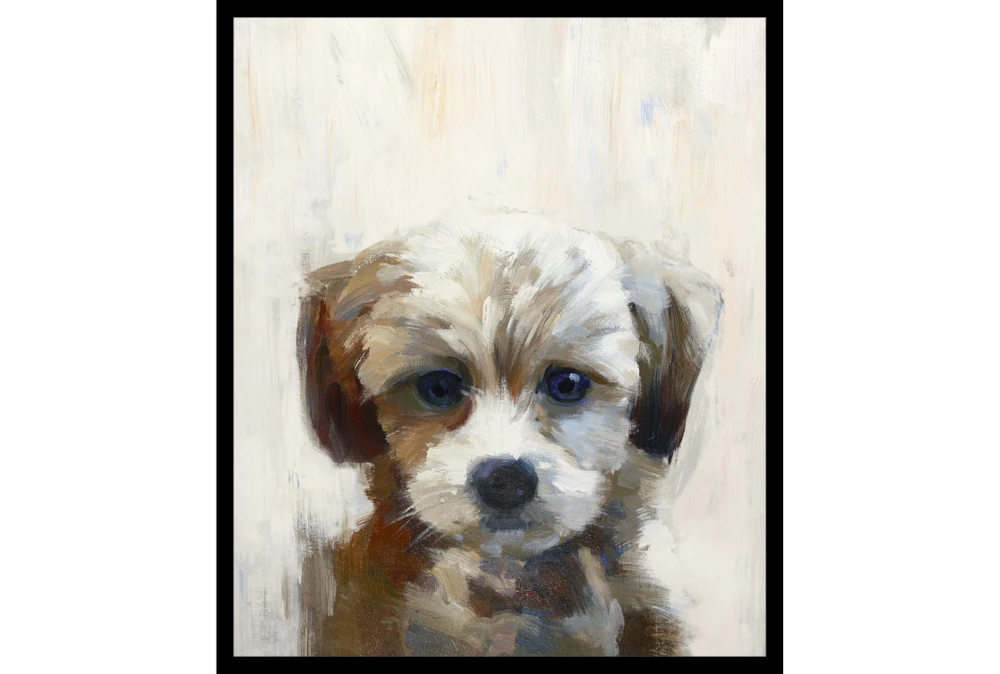22X26 Rescue Pup With Black Frame