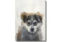 12X16 Huskie With Gallery Wrap - Signature