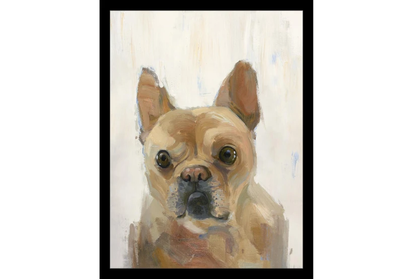14X18 Frenchie With Black Frame - 360