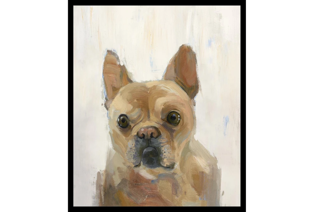 22X26 Frenchie With Black Frame