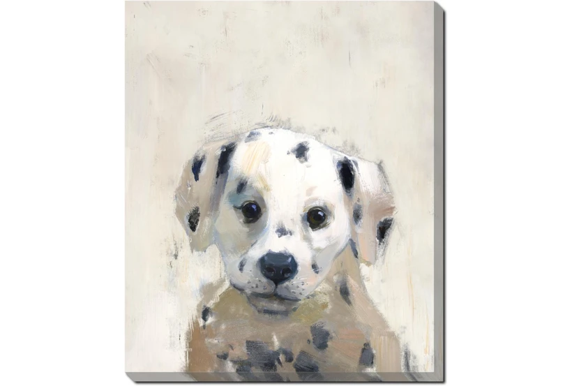 20X24 Dalmation With Gallery Wrap - 360