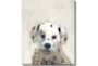 20X24 Dalmation With Gallery Wrap - Signature
