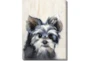 12X16 Yorkie With Gallery Wrap - Signature
