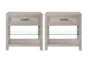 Lucia Grey 1-Drawer Nightstand With USB Set Of 2 - Signature