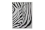 47X36 Zebra Stripes - Signature