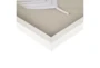 25X14 White Sabal Palm Rice Paper Shadow Box Set Of 3 - Detail