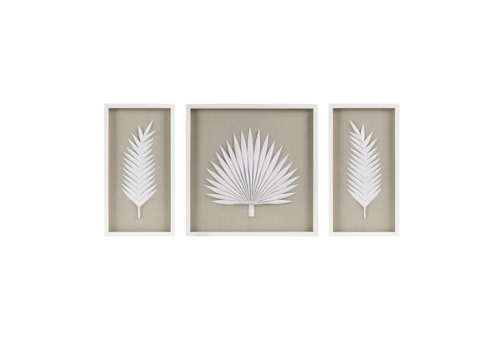 25X14 White Sabal Palm Rice Paper Shadow Box Set Of 3
