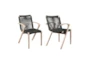 Apola Natural Outdoor Dining Arm Chair Set Of 2 - Signature