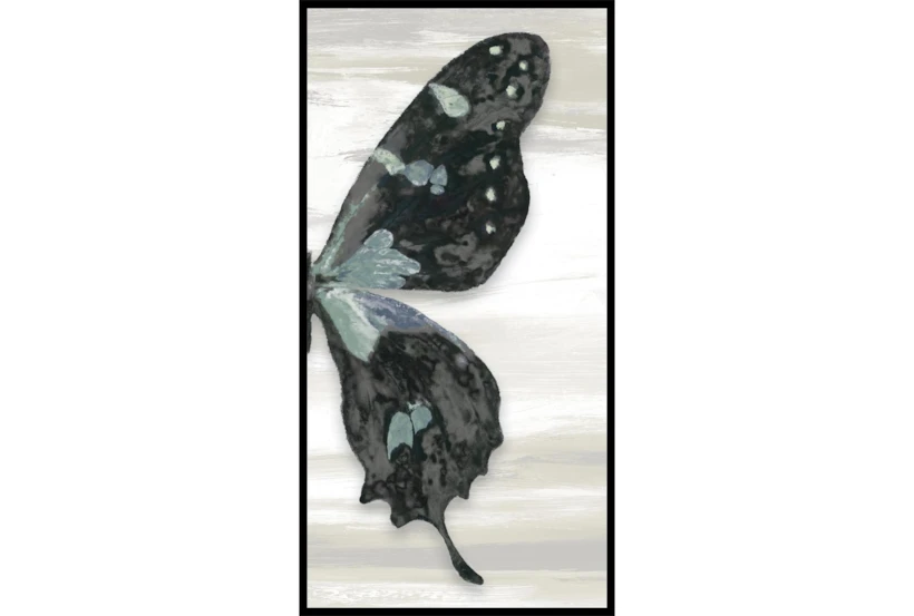 26X50 Wings II With Black Frame - 360
