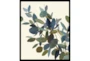 22X26 Watercolor Eucalyptus I With Black Frame - Signature