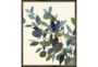 22X26 Watercolor Eucalyptus I With Espresso Frame - Signature