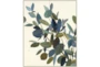 42X52 Watercolor Eucalyptus I Item Description - Signature