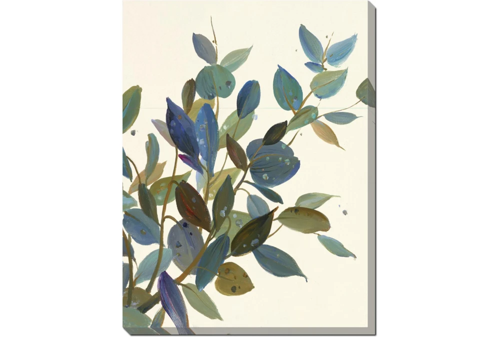 30X40 Watercolor Eucalyptus II Gallery Wrap Canvas