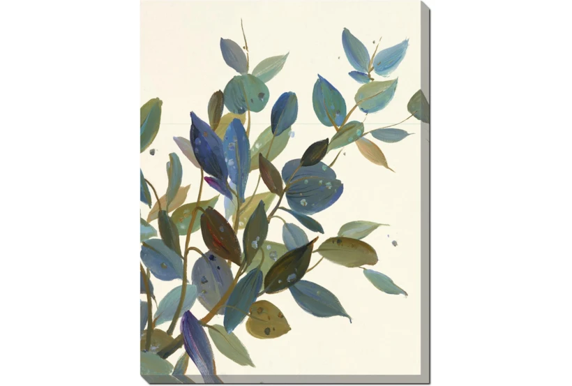 30X40 Watercolor Eucalyptus II Gallery Wrap Canvas - 360
