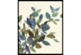 22X26 Watercolor Eucalyptus II With Black Frame - Signature