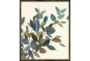 22X26 Watercolor Eucalyptus II With Espresso Frame - Signature