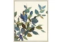 22X26 Watercolor Eucalyptus II With Birch Frame - Signature