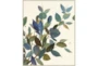 42X52 Watercolor Eucalyptus II Item Description - Signature