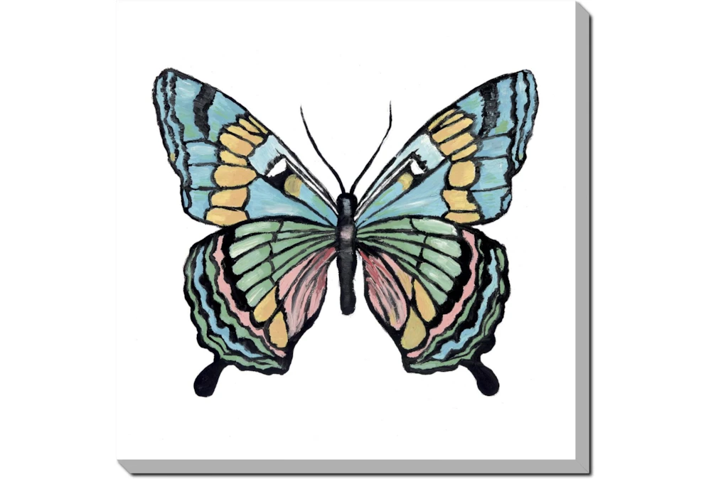 24X24 Vibrant Teal Butterfly Gallery Wrap Canvas
