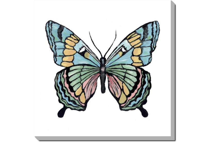 24X24 Vibrant Teal Butterfly Gallery Wrap Canvas - 360