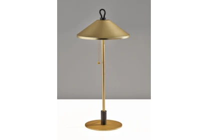 Antique Brass Goose Neck Table Lamp With Enamel Shade, 1 - Kroger