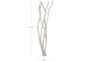 39" Cream White Dula Log Wood Branches - Detail