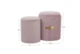 17" Light Pink Nesting Storage Bench With Gold Metal Accent Piece - Detail