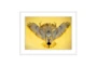 40X30 Sundancer Yellow By Boyd Elder With White Frame - Signature