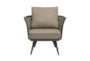 Taupe Fabric + Gray Frame Outdoor Lounge Chair - Signature
